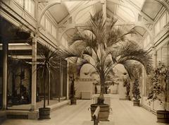 Interior of the birdhouse at Artis Zoo in 1913 with palms and potted plants