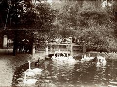 Visitors at Artis Zoo by pond with swans and pelicans, Amsterdam, 1910