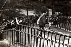 Elephant performing tricks at Artis Zoo in Amsterdam, 1912