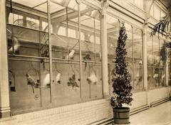 Historic photograph of the parrot enclosure at Artis Zoo in 1911