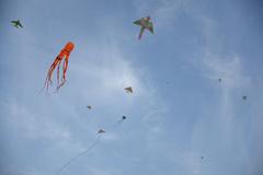 Kannur Kite Festival at Payyambalam Beach