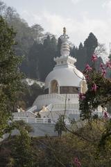 Peace Pagoda in Darjeeling