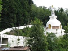 Japanese Peace Pagoda in Darjeeling surrounded by lush greenery