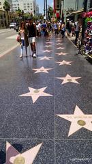 Paseo De La Fama De Hollywood