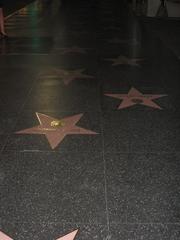 Hollywood Walk of Fame sidewalk with stars