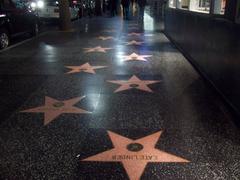 Hollywood Walk of Fame at night