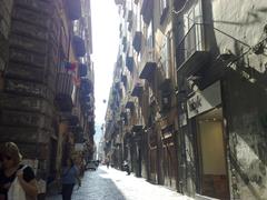 View of Spaccanapoli toward Castel Sant'Elmo