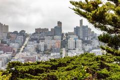 Pioneer Park with view of Russian Hill in San Francisco