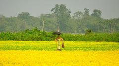 Pobitora Wildlife Sanctuary, Assam, India
