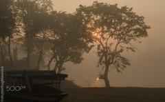 morning mist at riverside of Pobitora Wildlife Sanctuary in India