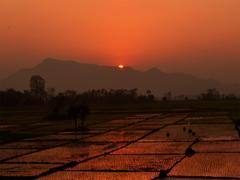 Sunset in Pobitora Wildlife Sanctuary
