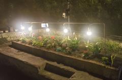 Underground of Naples with plants