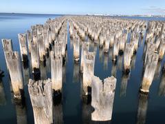 Old Pier posts at Princes Pier, Melbourne