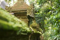 Ubud forest temple surrounded by lush greenery