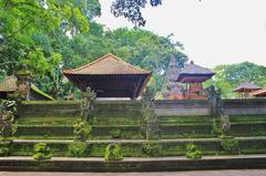 Monkey Forest Ubud, Indonesia