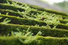 moss-covered tiered top of temple walls in Ubud, Bali