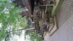 Ubud Monkey Forest sanctuary