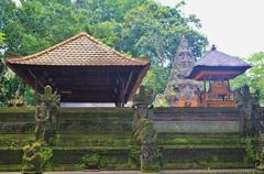 Monkey Forest Park in Ubud, Indonesia