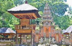 Monkey Forest Ubud Indonesia