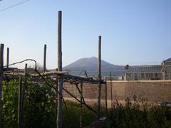 Mt. Vesuvius from Trecase