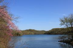 Radnor Lake in Nashville, Tennessee