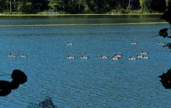 Radnor scenic landscape