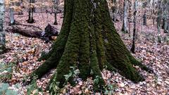 Radnor Lake State Park in Nashville