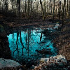 Radnor Lake State Park landscape in Nashville