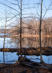 Radnor Lake State Park in Nashville