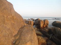 beach rocks at RK Beach in Visakhapatnam