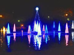 Christmas illumination at Flarie 2015