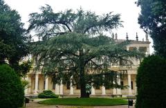 Chiericati Palace in Vicenza