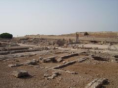 Egnazia's Basilicas Civile and nearby buildings