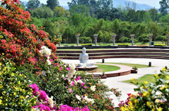 Garden of Silence at Sukhna Lake in Chandigarh