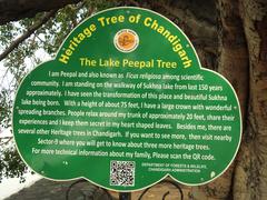 Board sign of Peepal Heritage Tree near Sukhna Lake in Chandigarh