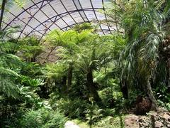 Interior of Rippon Lea fernery in Victoria, Australia