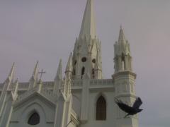 a crow flying in front of the Santhome Basilica in Chennai