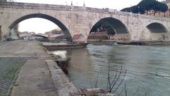 Fiume Tevere river in Rome 2016