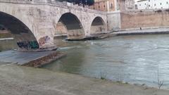 Fiume Tevere river in Rome, 2016