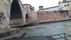 Fiume Tevere river in Rome 2016