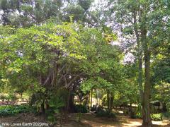 Forbidden Garden in front of Melaka Sultanate Palace Museum