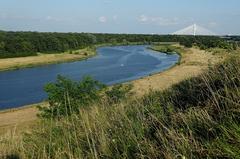 Rędziński Bridge and Odra River in Wrocław viewed from Maślickie Hill