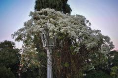 beautiful garden at Sahelion Ki Bari in Udaipur, Rajasthan