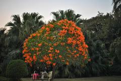 Garden view of Saheliyon-ki-Bari in Udaipur