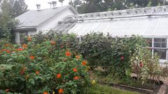 greenhouse at Snug Harbor