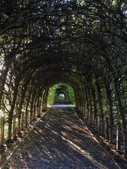 Covered path at Snug Harbor Cultural Center & Botanical Garden