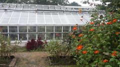 Snug Harbor Cultural Center and Botanical Garden greenhouse