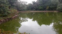 Snug Harbor pond with botanical garden in the background