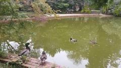 A serene view of Snug Harbor Cultural Center and Botanical Garden pond