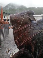 Statue of Nandi in front of Kedarnath Temple